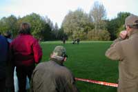 De Flatcoat op proef B