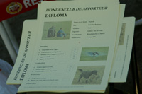 Diploma