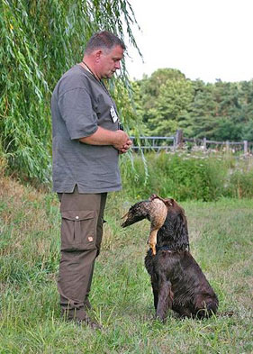 Gerard van Beek met Zoe