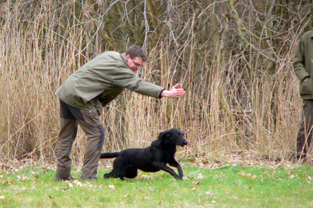 Jan Sluijs met Abbotsross Chester