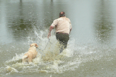 Alfons Mulder met Dolle